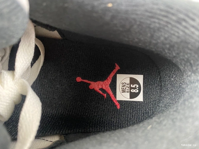 Reps TB CT8532-106 Grey 3 Air Jordan Cement 0825